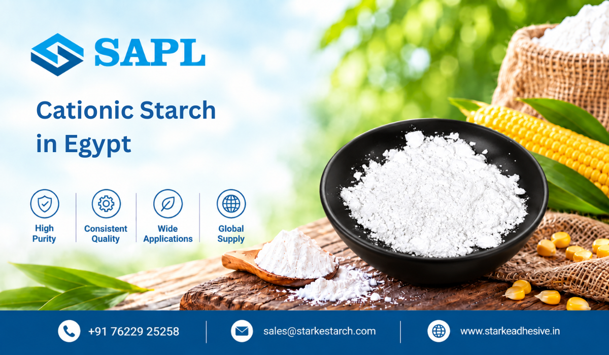 Cationic Starch in Egypt